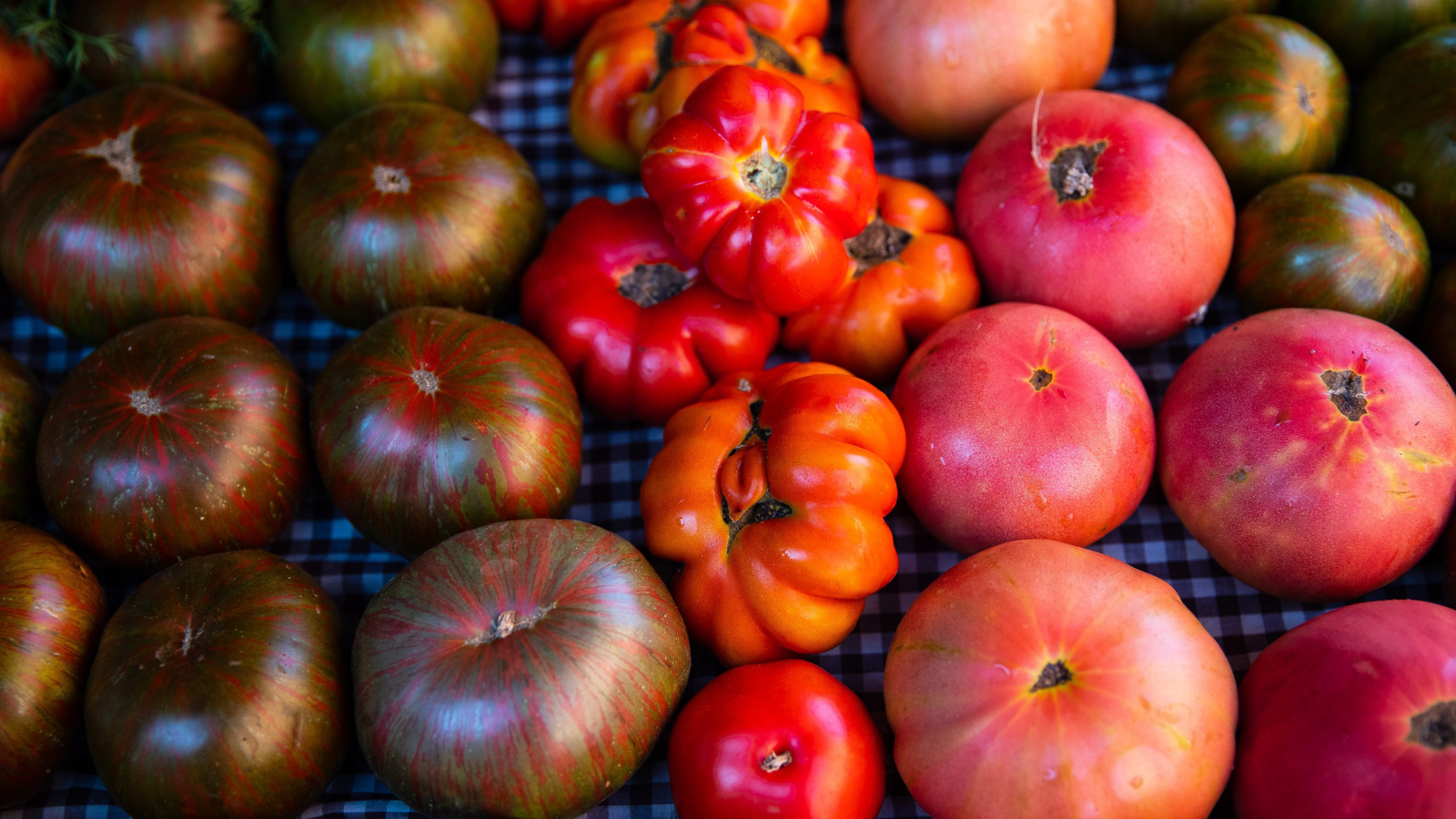 Little Roots Market to open this month in Crescent, Iowa